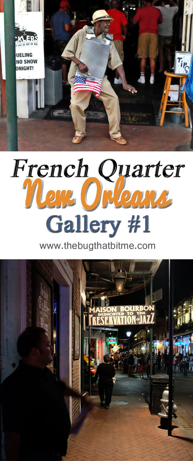 New Orleans Gallery 1 | The Bug That Bit Me