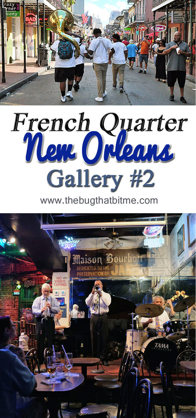 New Orleans Gallery 2 | The Bug That Bit Me