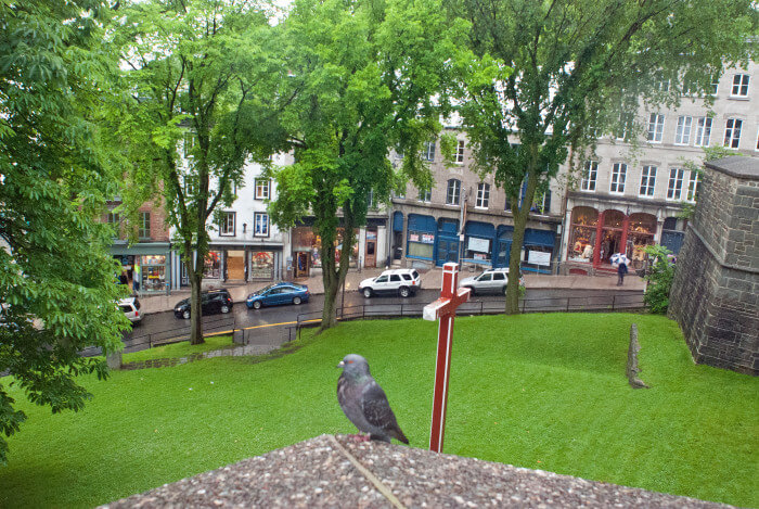 Lower Town in Old Quebec | The Bug That Bit Me