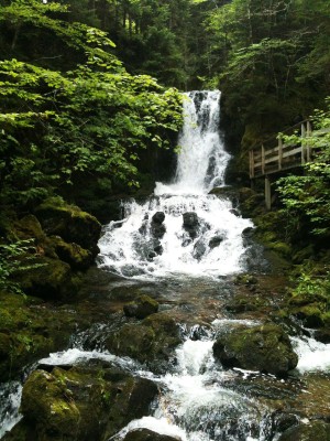 New Brunswick Fun Facts, waterfall in the forest