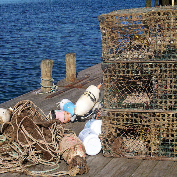 Lobster traps