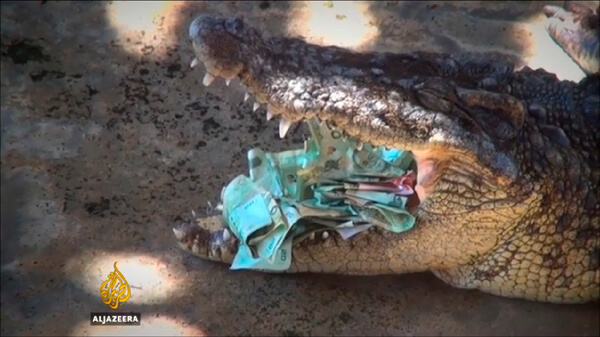an alligator has his mouth stuffed with money at an animal show in SE Asia; Animal abuse Southeast Asia