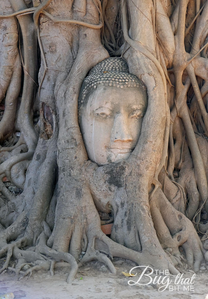 Wat Mahathat, Ayutthaya