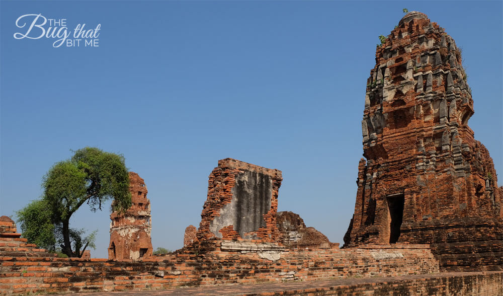 Wat Mahathat, Ayutthaya