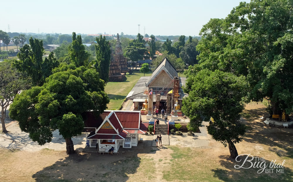 Wat Phu Khao Thong, Ayutthaya