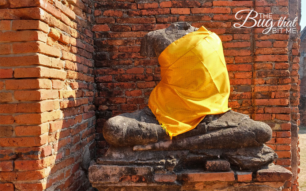 Wat Chaiwatthanaram, Ayutthaya