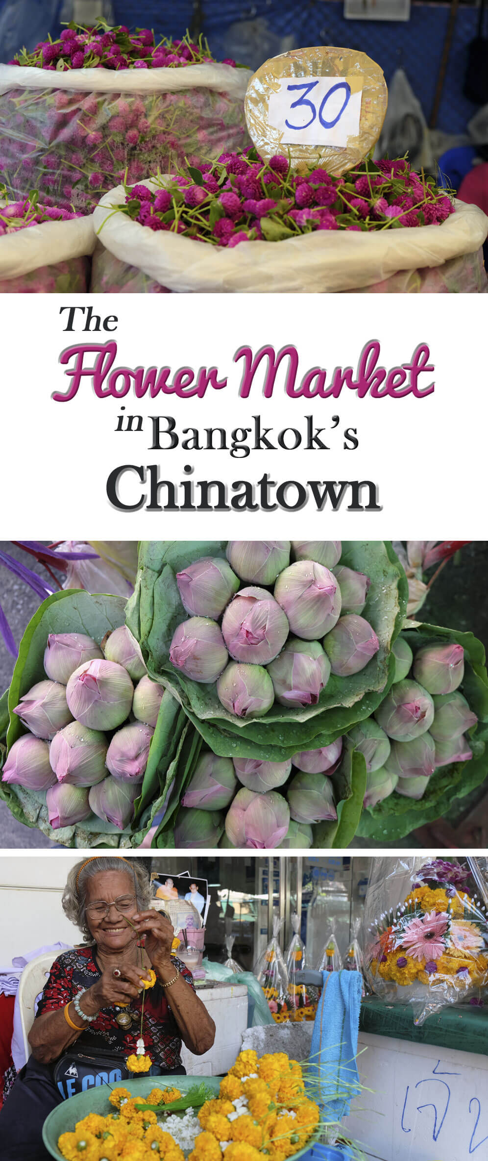 Bangkok’s Flower Market, Pak Klong Talad, and how to get there easily!