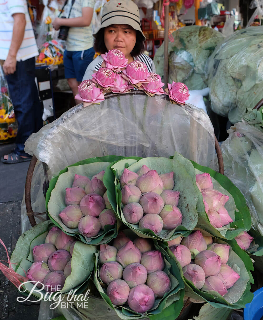 a woman behind a pile of lotus blossoms