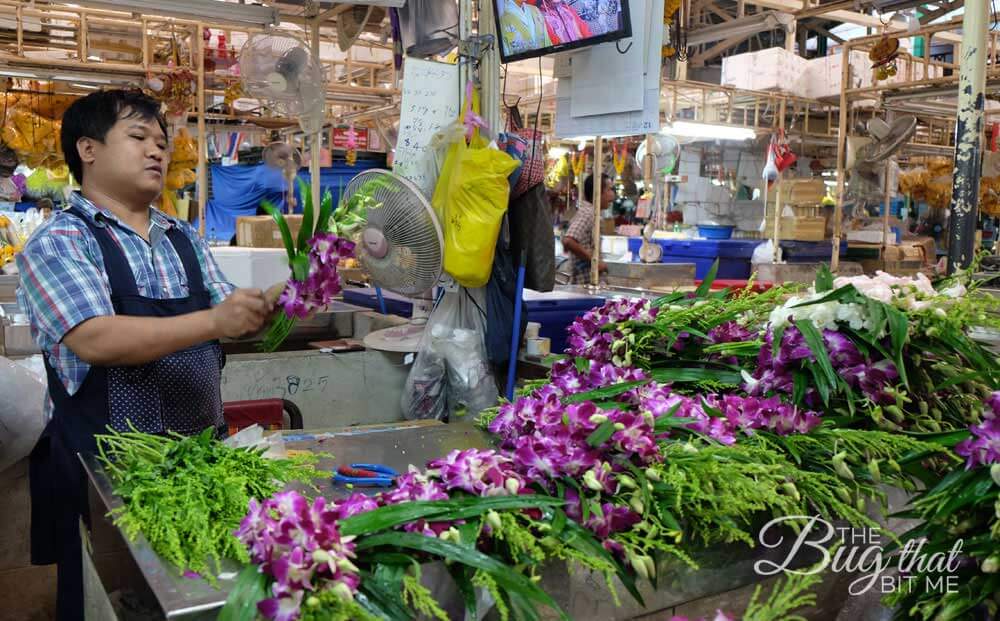 a man works with orchids