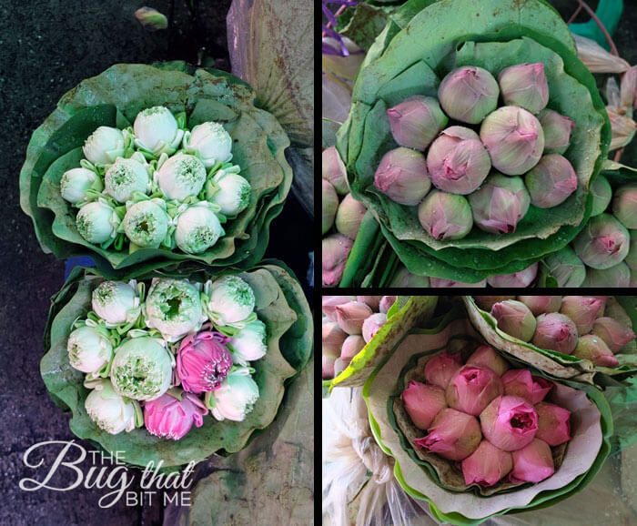 a collage of lotus flowers at Bangkok's Flower Market