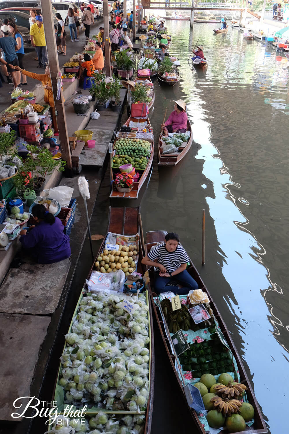 Damnoen Saduk floating market