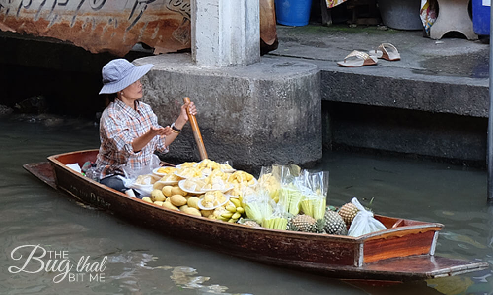 Damnoen Saduk floating market