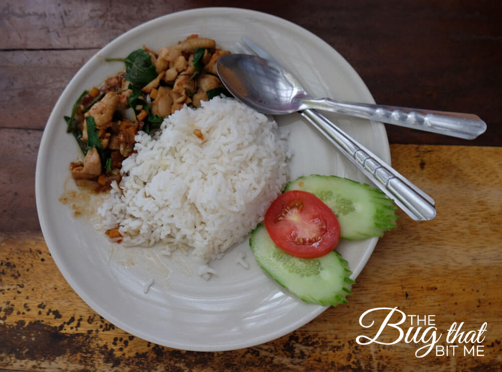 a plate of basil chicken and rice