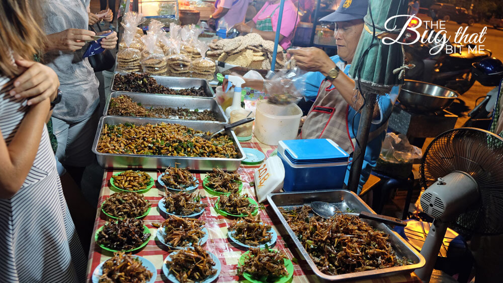 Ayutthaya night market