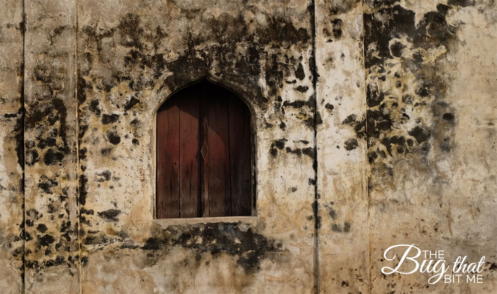 Lopburi ruins