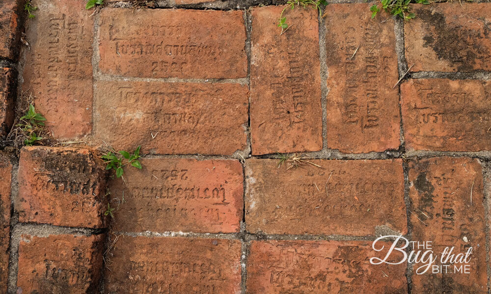 Lopburi ruins