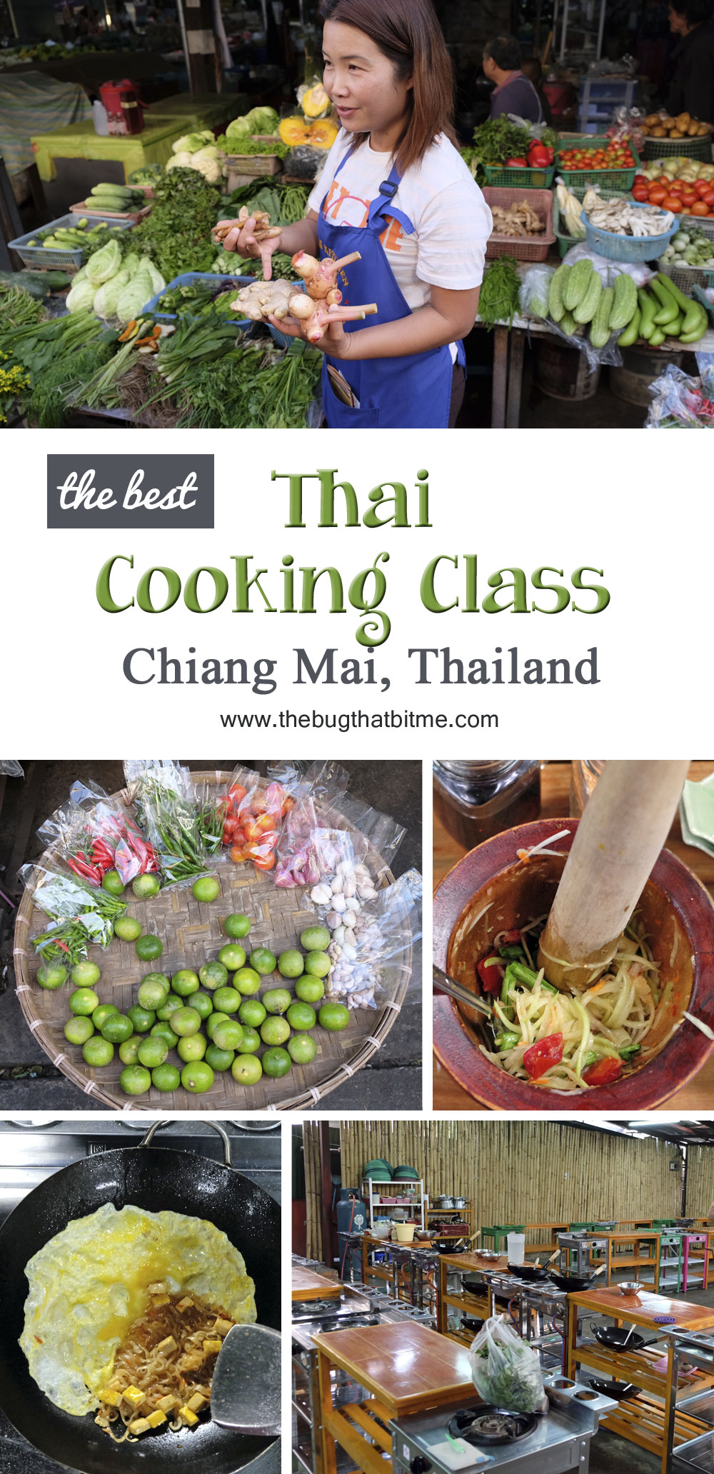 The best Thai Cooking Class in Chiang Mai, Thailand!