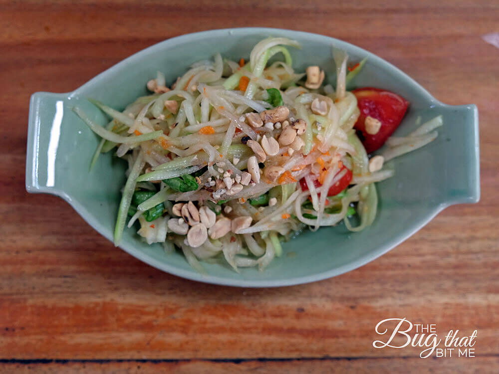 Thai Kitchen cooking class papaya salad