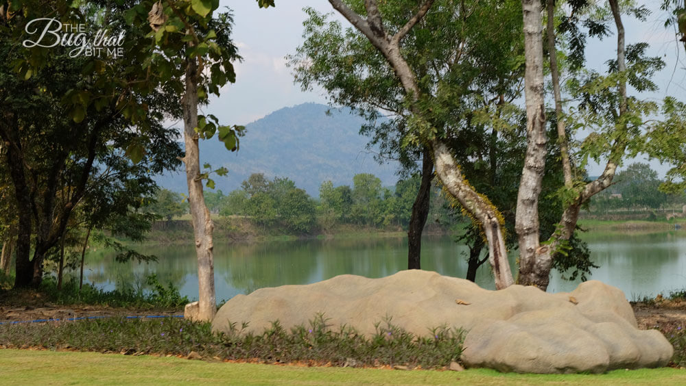 near Chiang Rai, Northern Thailand