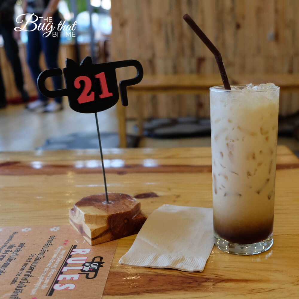 Cat 'N' a Cup Cafe, Chiang Rai, Thailand