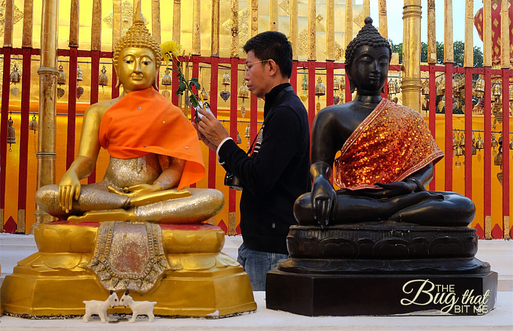 Wat Phra That
