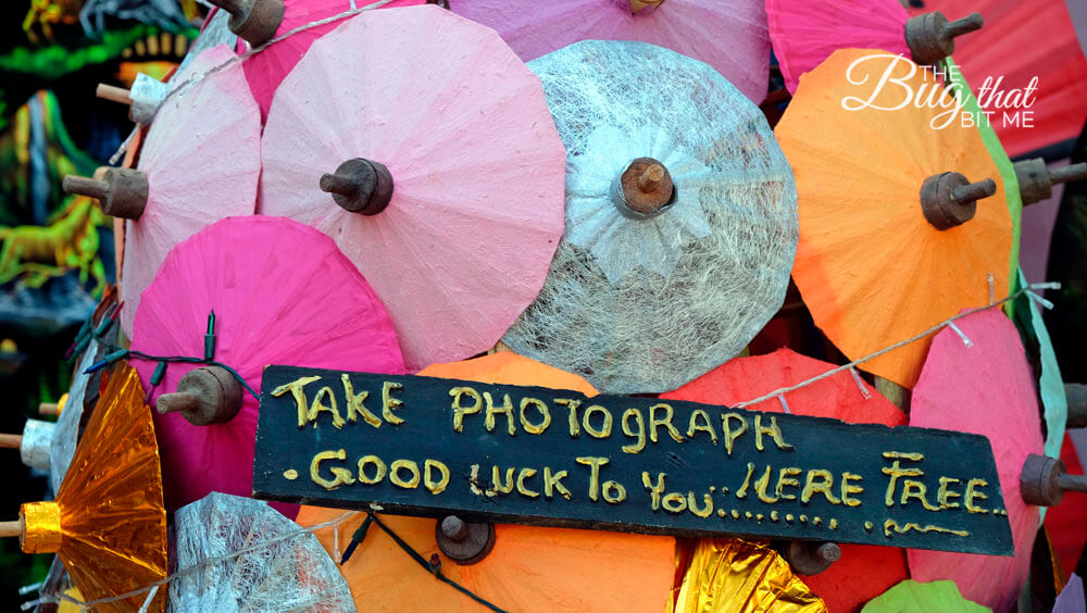 Bo Sang Umbrella Festival, Bo Sang, Thailand | The Bug That Bit Me