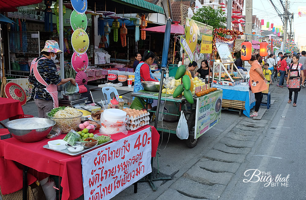 Bo Sang Umbrella Festival, Bo Sang, Thailand | The Bug That Bit Me