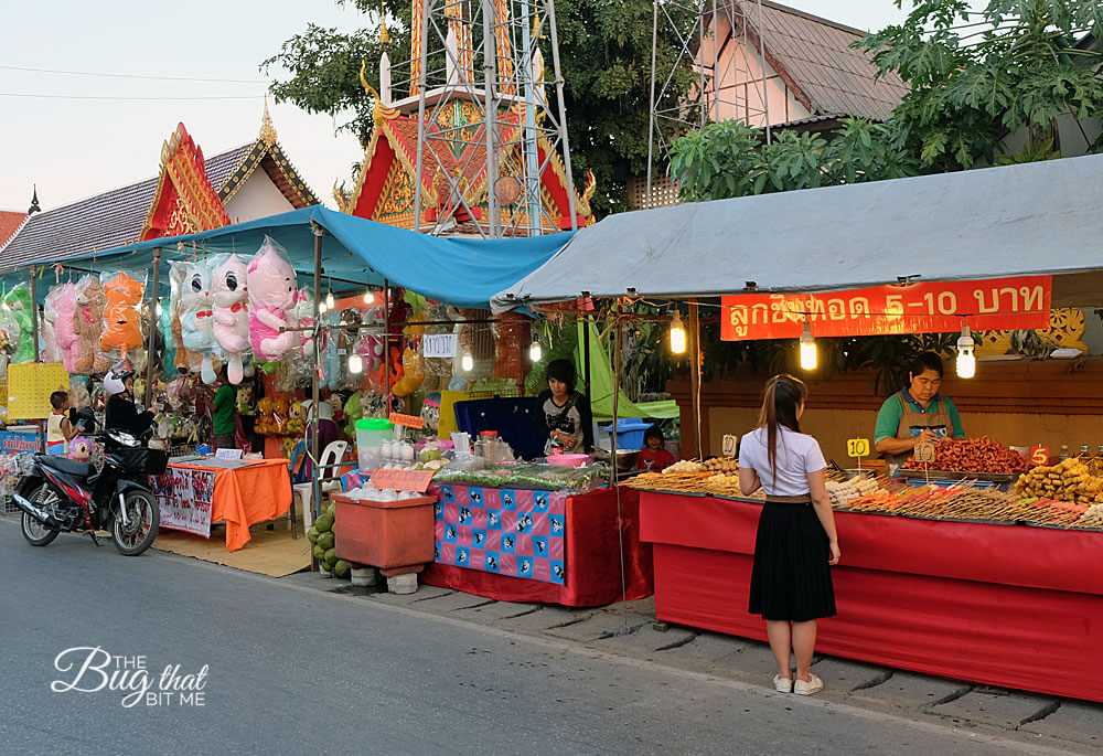 Bo Sang Umbrella Festival, Bo Sang, Thailand | The Bug That Bit Me