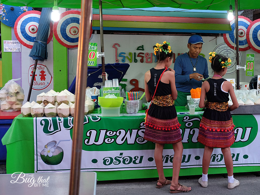 Bo Sang Umbrella Festival, Bo Sang, Thailand | The Bug That Bit Me