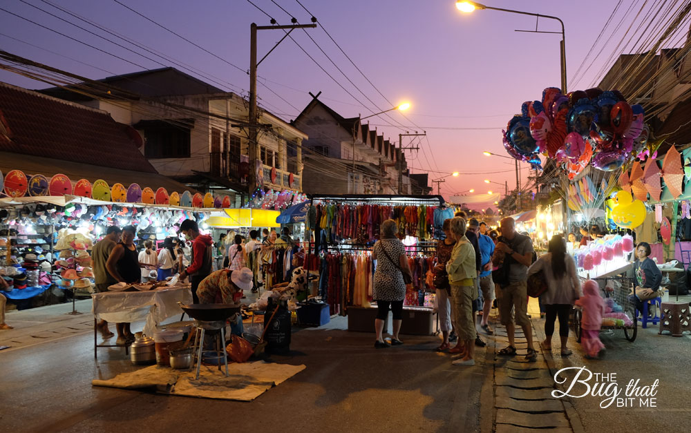 Bo Sang Umbrella Festival, Bo Sang, Thailand | The Bug That Bit Me