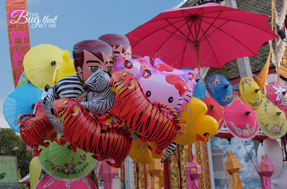 Bo Sang Umbrella Festival, Bo Sang, Thailand | The Bug That Bit Me