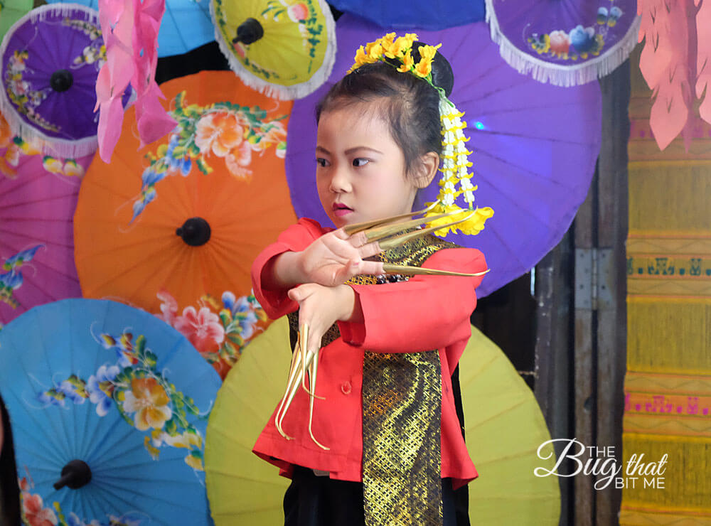 Bo Sang Umbrella Festival, Bo Sang, Thailand | The Bug That Bit Me