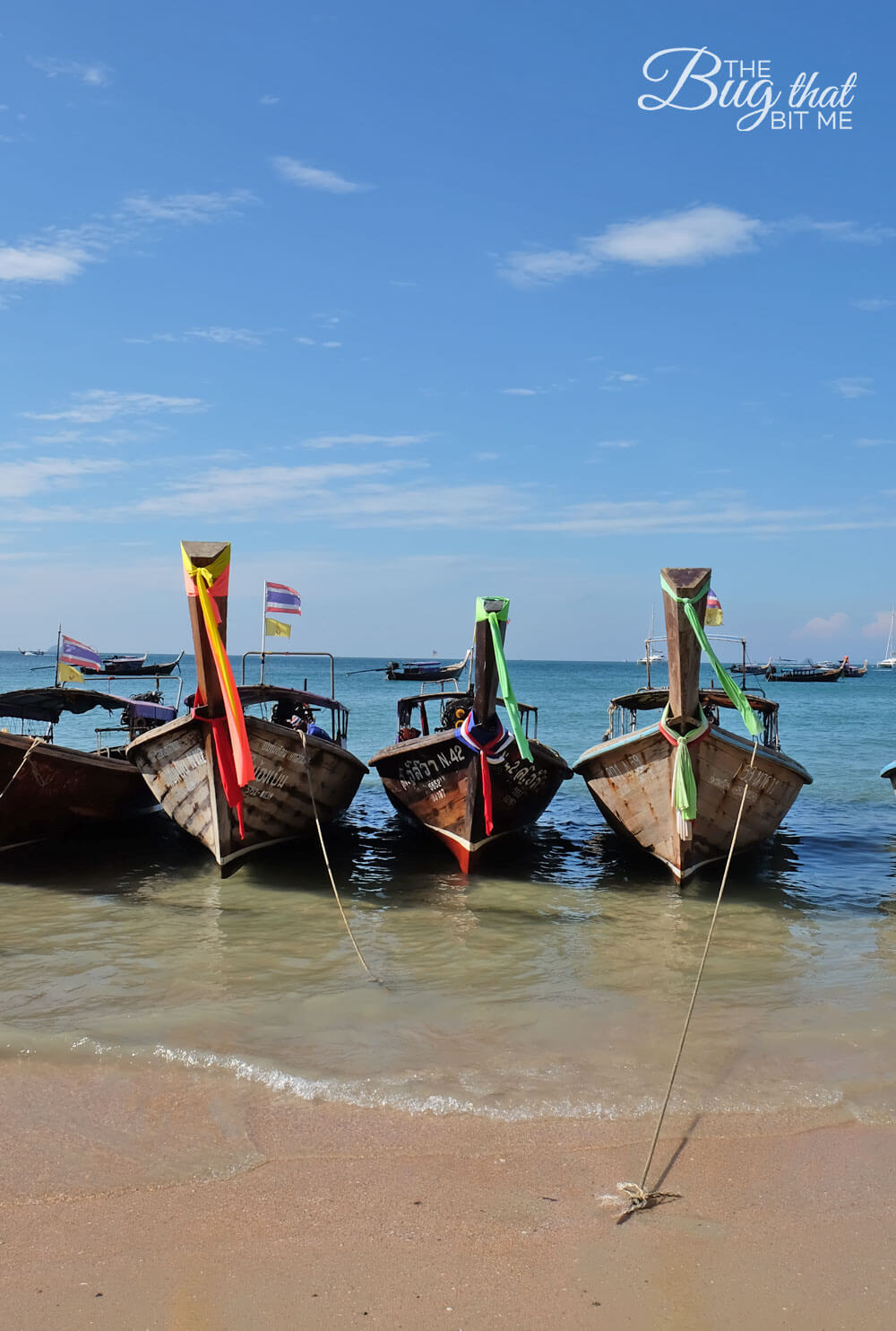 Ao Nang, Thailand | The Bug That Bit Me