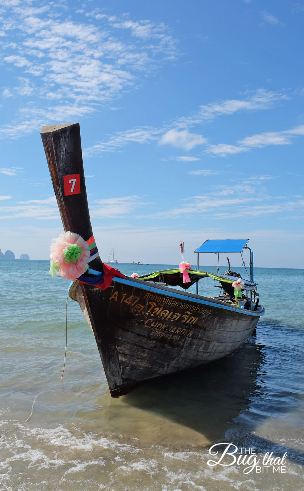 Ao Nang, Thailand | The Bug That Bit Me