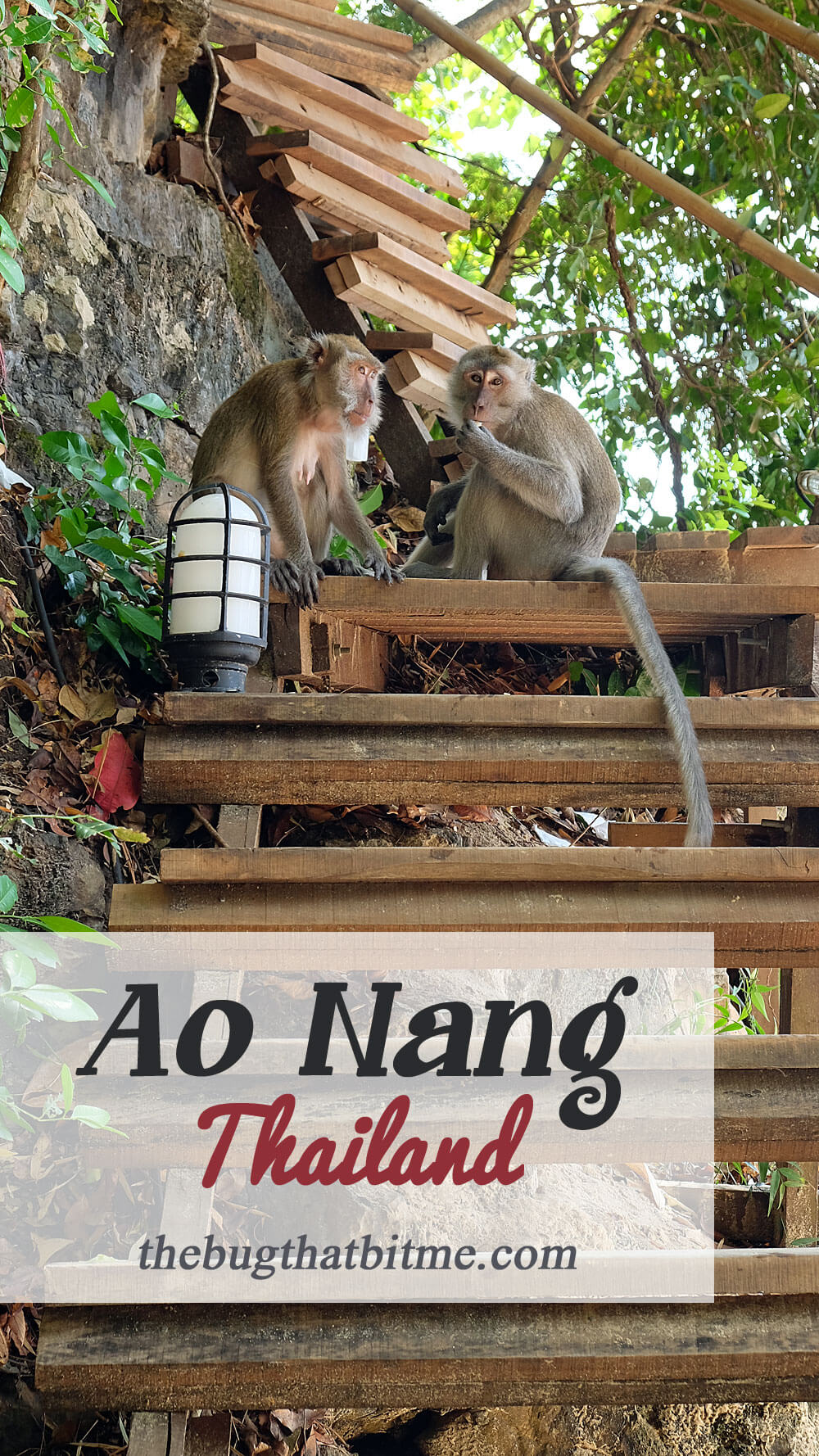 Ao Nang, Thailand | The Bug That Bit Me