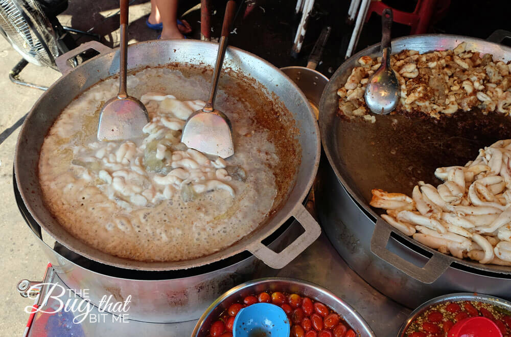 Bangkok's Chatuchak Weekend Market | The Bug That Bit Me