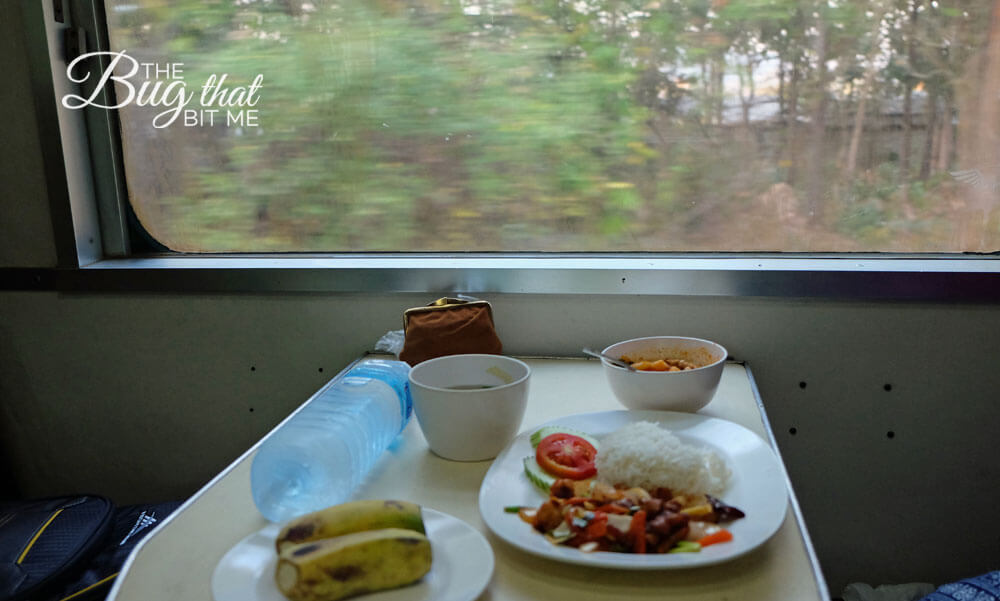 Night Train Chiang Mai to Bangkok | The Bug That Bit Me