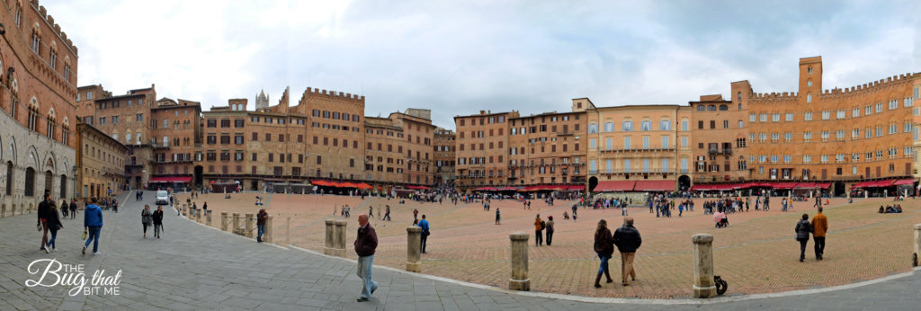 Siena, Italy | The Bug That Bit Me