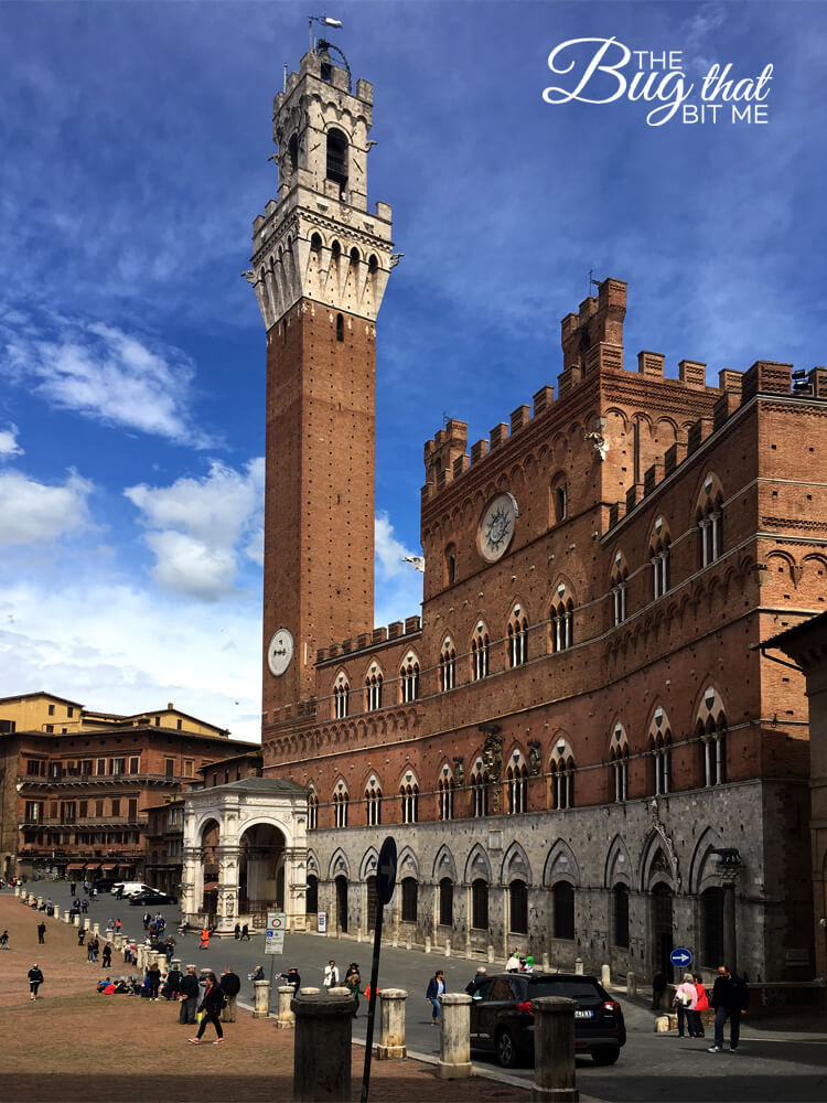 Siena, Italy | The Bug That Bit Me