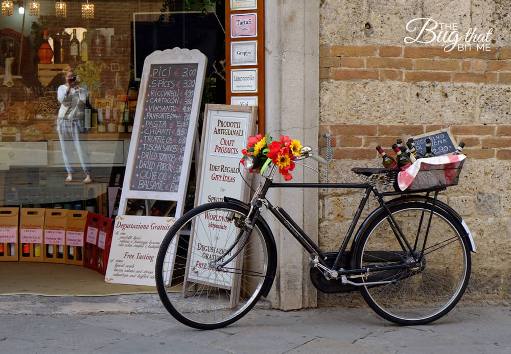 Siena, Italy | The Bug That Bit Me