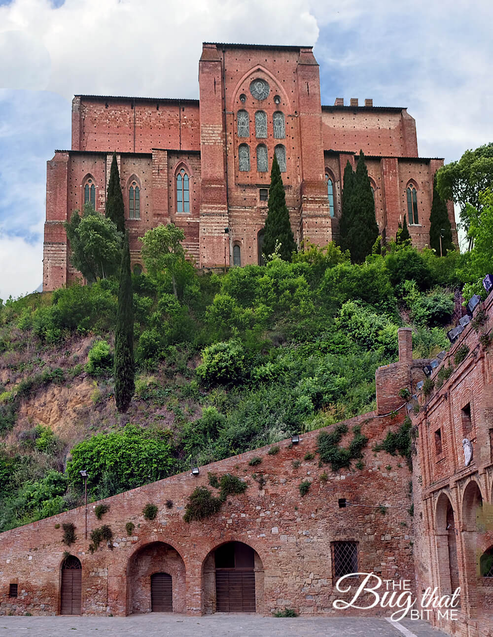 Siena, Italy | The Bug That Bit Me