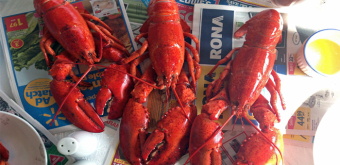 three cooked lobsters on newspaper