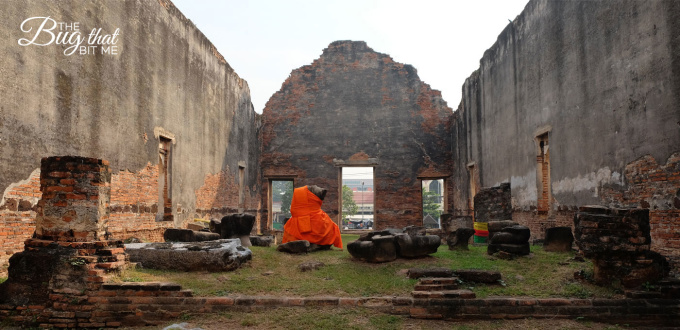 Lopburi ruins