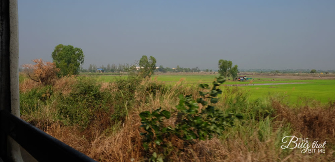 the train to Chiang Rai, Northern Thailand