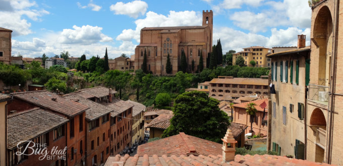 Siena, Italy | The Bug That Bit Me